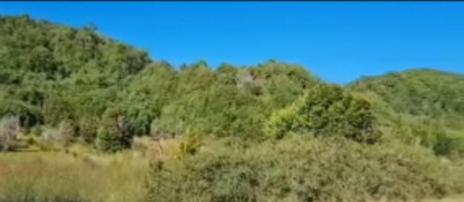 -5