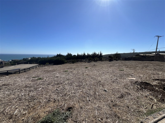 114094529-4