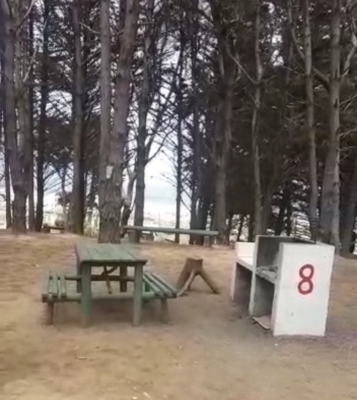 -9
