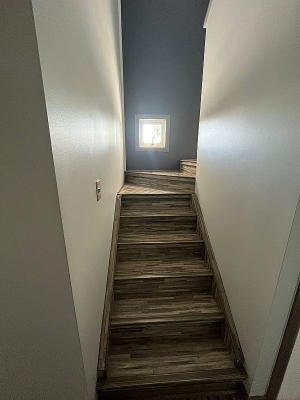 1196-8