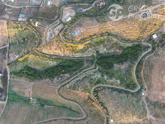 110069606-6