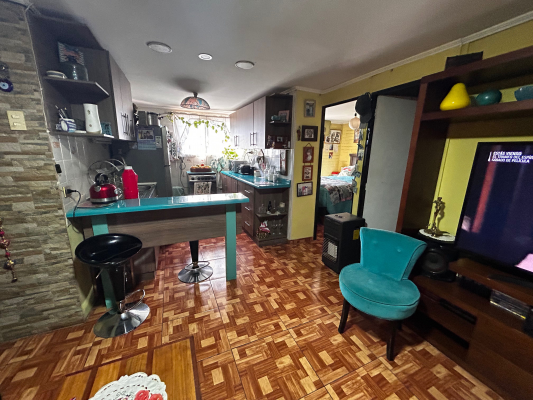 depto-3-dorm,-2-banos,-remodelado-(96969)-4