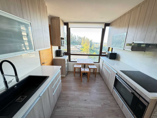 idahue-departamento-vista-360-san-pedro-(89185)-5