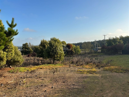 104107563-8