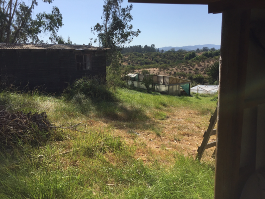 valle-hermoso-(73901)-8