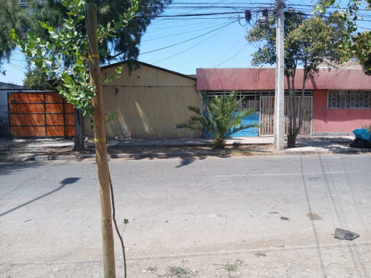 santa-rosa-(80761)-4