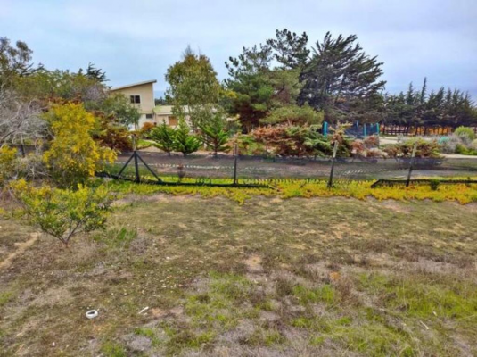 coquimbo-(73930)-7