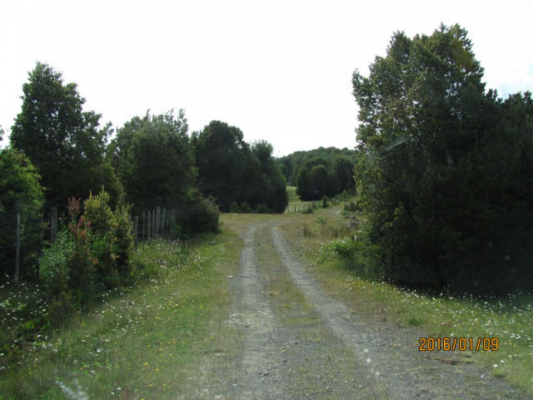 sector-rio-pescado-(73972)-5