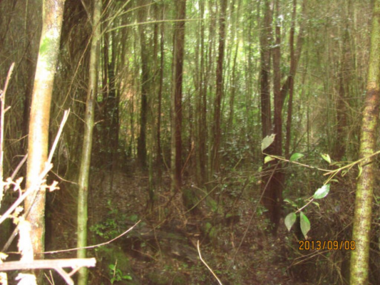 sector-rio-pescado-(73972)-7