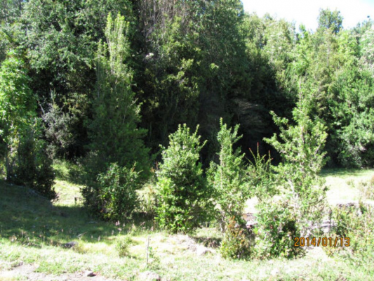 sector-rio-pescado-(73972)-8