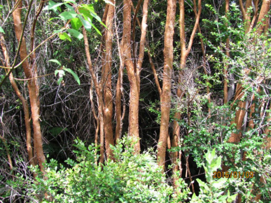 sector-rio-pescado-(73972)-9