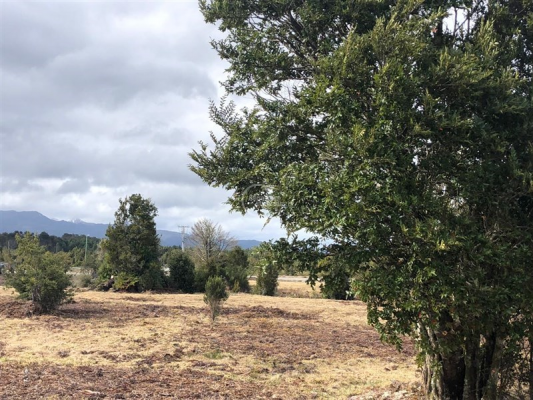 -4