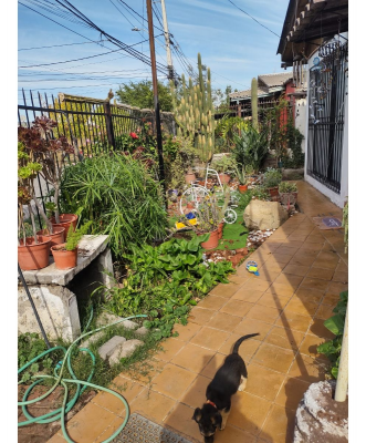 p20252225u97-3