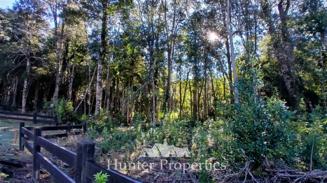 -5