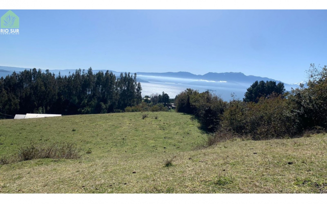 p20251141ct7-6
