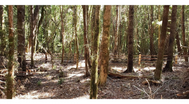 -12