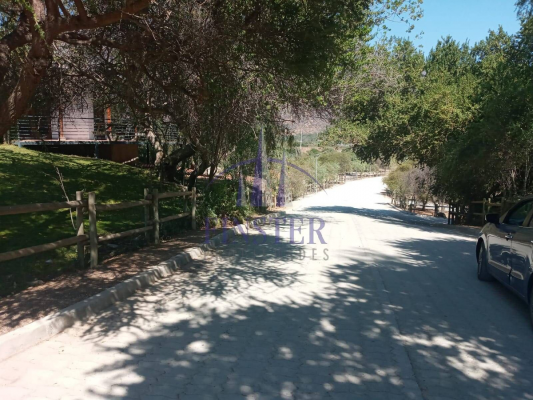 p20251158jx0-3
