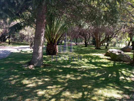 p20251158jx0-4