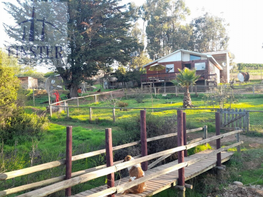 p202512933xe-3
