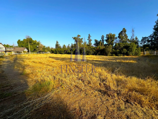 p20251644sbe-4