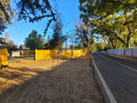 p20251646uaq-6