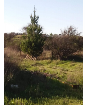 p20251081tmo-7