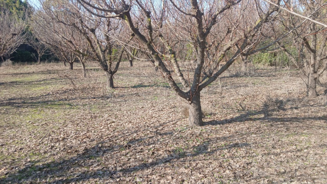 p20253396agw-8
