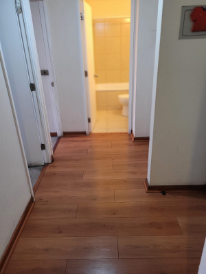 p20253129mdd-8