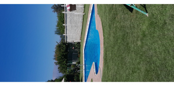 p20251559dzg-5