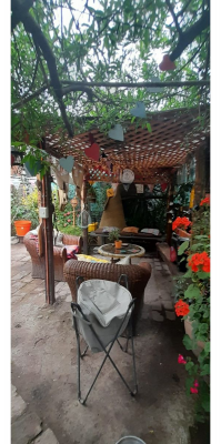 p20251581wz7-7