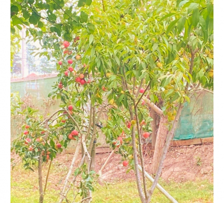 p2025410coe-8
