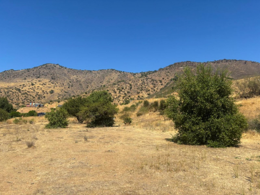 p20252170vff-5
