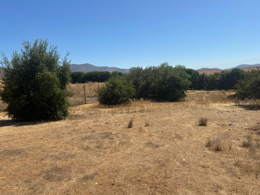 p20252170vff-6
