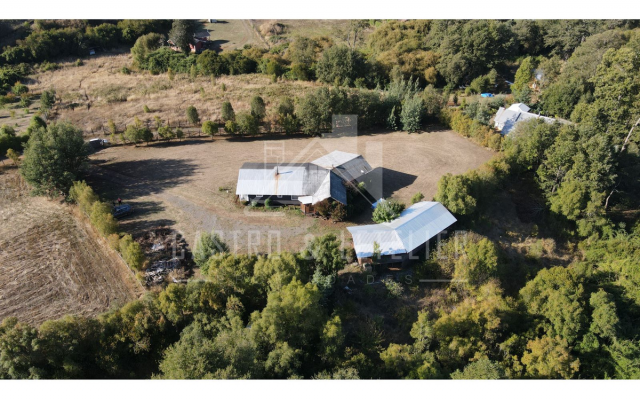 p20252088sqj-5