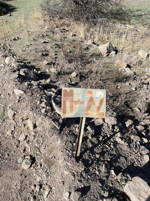 -11