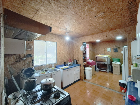 p20253159ct1-7