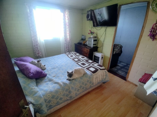 p20252914dle-9