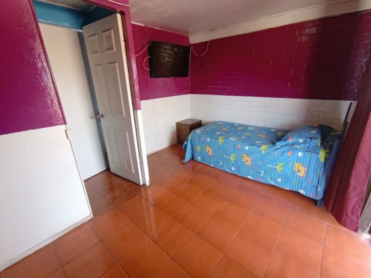 p20251875h1t-8