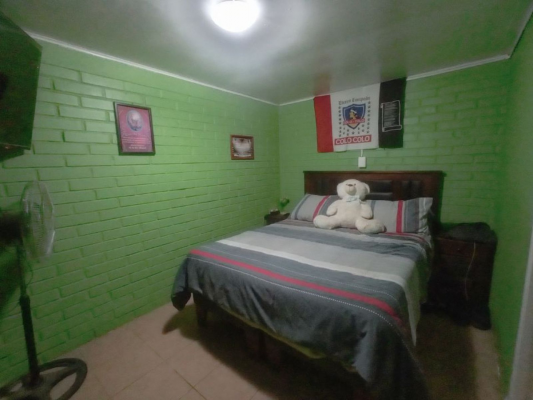 p20251055tzi-8