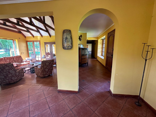 p20255573ht-8