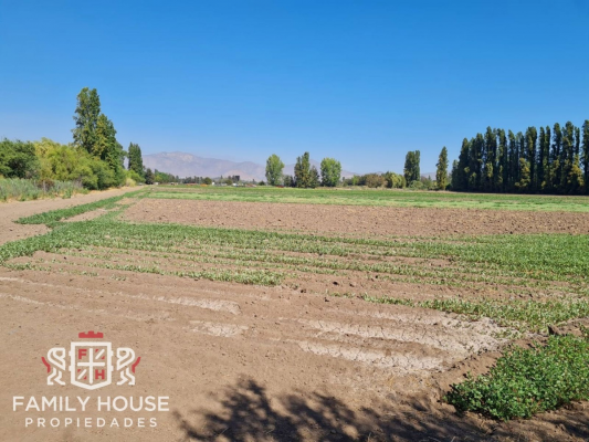 -15