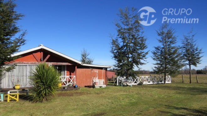-8