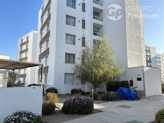 -16