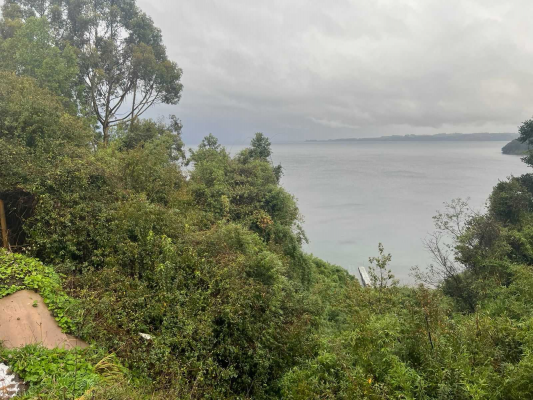 terreno-en-playa-maqui,-frutillar-(82417)-8
