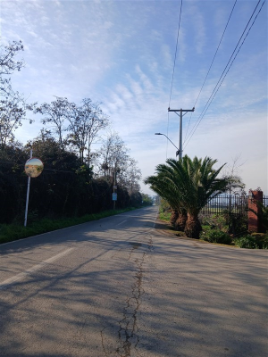 114099568-6
