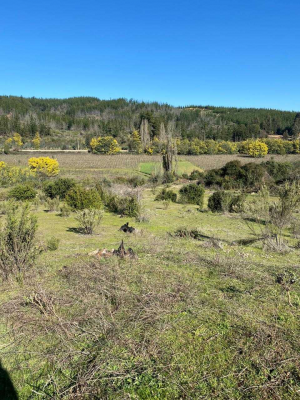 parcela-con-rol,-hualane-vichuquen-duao-(69268)-9
