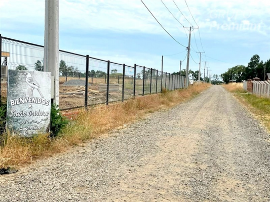 -9