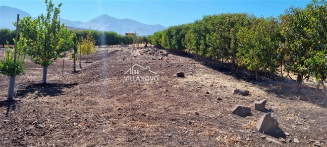 114126224-7