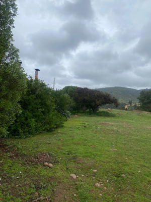 p20253806rn1-3