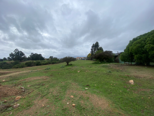 p20253806rn1-4